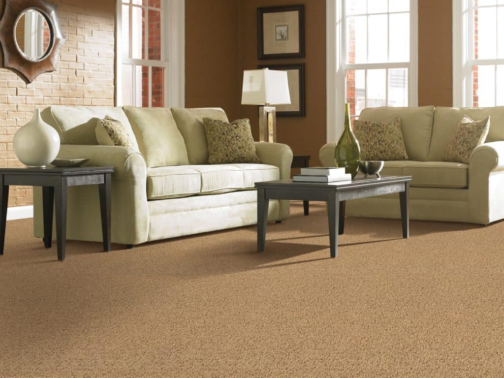 Polyester Carpet Shop All Carpet Options at Martin's Flooring
