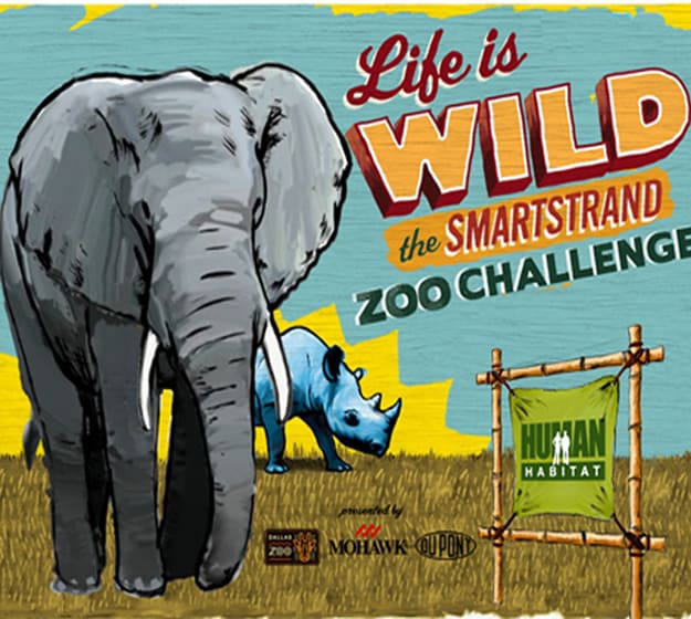 The SmartStrand Carpet Zoo Challenge