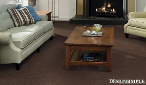 super-soft carpet living room