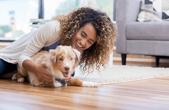 area rug cleaning