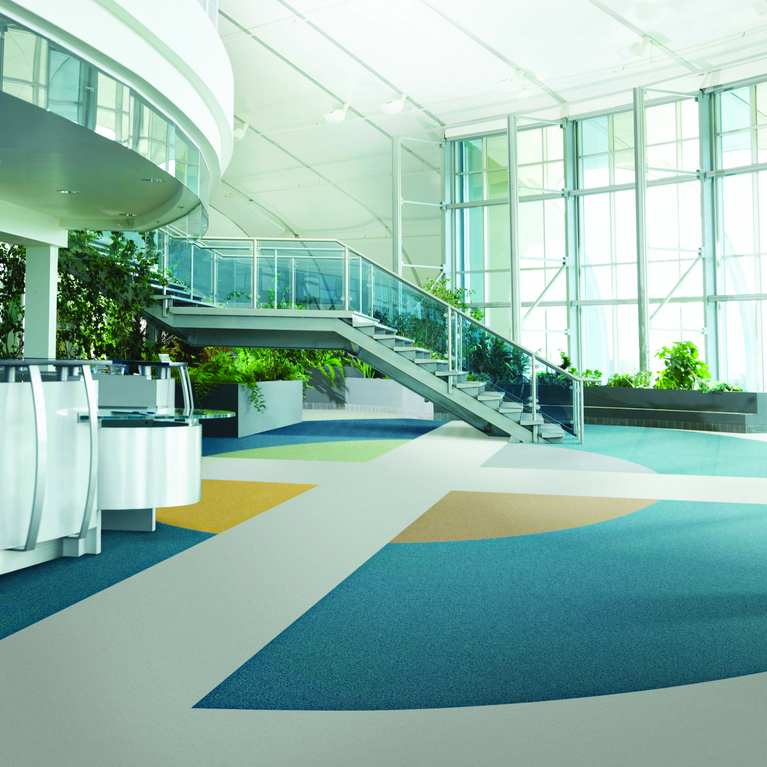 Commercial carpet cleaning