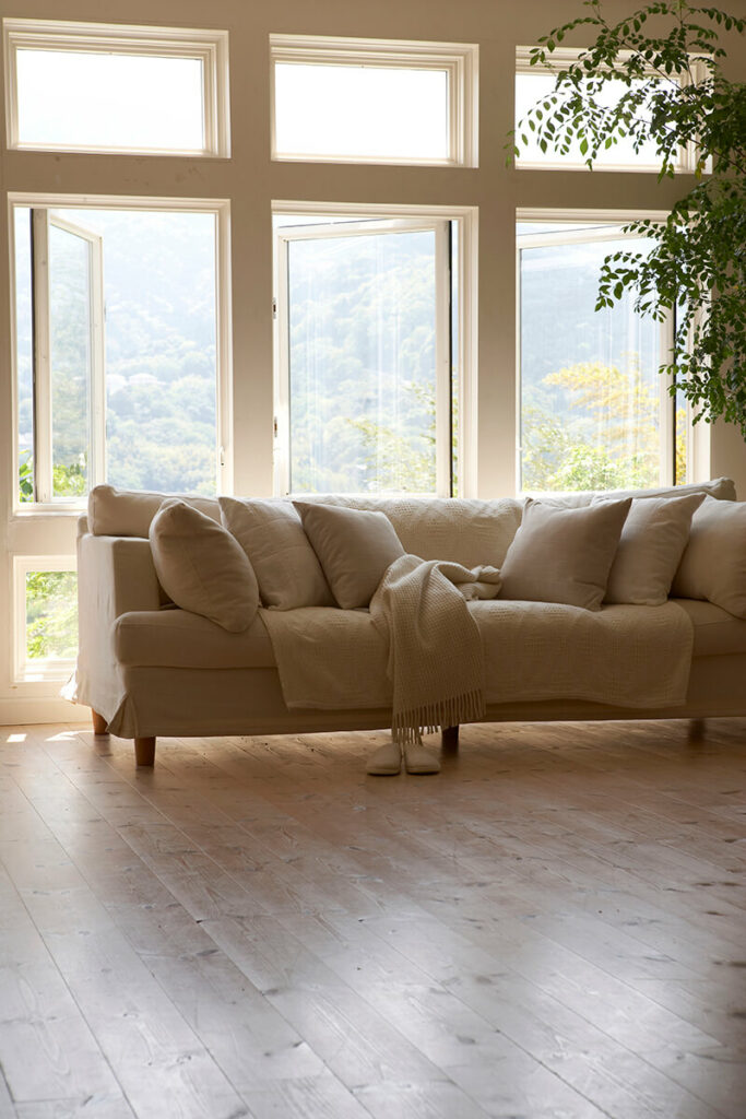 couch on wood floor