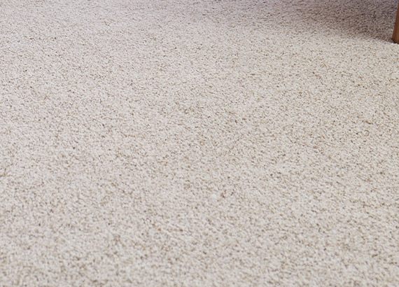 Carpet